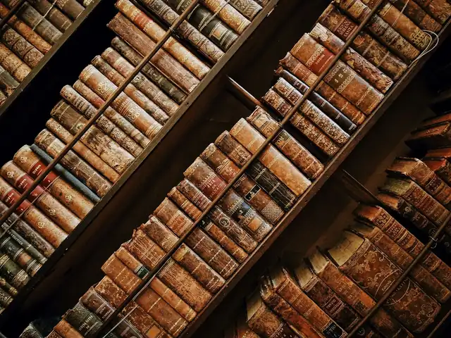 書架上排列的舊書